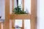 Regal Kiefer massiv Vollholz Erlefarben Junco 54B - 200 x 70 x 30 cm (H x B x T)