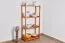 Regal Kiefer massiv Vollholz Eichefarben Junco 56C - 125 x 60 x 30 cm (H x B x T)