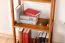 Regal Kiefer massiv Vollholz Eichefarben Junco 55D - 164 x 50 x 30 cm (H x B x T)