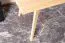Couchtisch Kiefer massiv natur Aurornis 77 - Abmessungen: 100 x 60 x 50 cm (B x T x H)