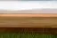 Kernbuche-Bett massiv | 100 x 200 cm | Kernbuche | Geölt Abbildung