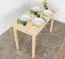 Tisch 60x120