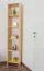 Regal 200 cm hoch