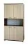 Schrank Cikupa 44, Farbe: Nuss / Ulme - Abmessungen: 160 x 90 x 40 cm (H x B x T)