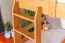 Etagenbett mit Stauraum / 2 Schubladen für Kinder 90 x 200 cm | Massivholz: Buche | Natur Lackiert | umbaubar in 2 Einzelbetten | Premium-Qualität | inkl. Rollroste Abbildung