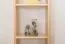 Regal Massivholz 001 - 200 x 40 x 30 cm (H x B x T)