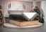 Boxspringbett mit modernen Design Pilio 66, Farbe: Beige / Eiche Golden Craft - Liegefläche: 160 x 200 cm (B x L)