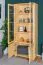 Kiefernholz Vitrine