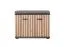 Schuhschrank mit zwei Fächern Ringerike 13, Farbe: Anthrazit / Eiche Artisan - Abmessungen: 46 x 60 x 32 cm (H x B x T), mit zwei Türen