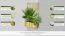 Blumenkasten mit Rankgitter Zizania 01 - 75 x 30 x 140 cm (B x T x H)