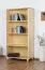 Regal Kiefer massiv Vollholz natur Junco 51B - 158 x 80 x 42 cm (H x B x T)